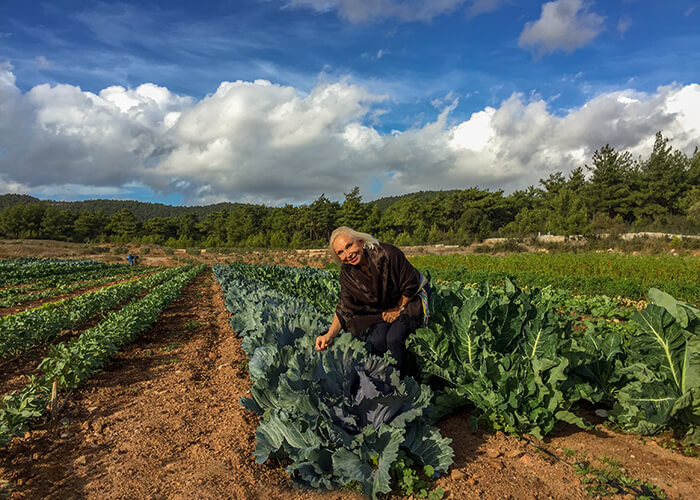 Bodrum Organic Wellnes